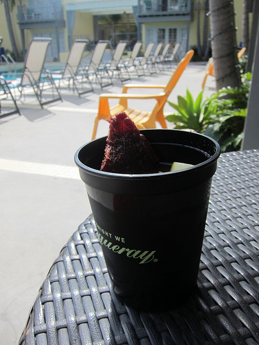 Red Snapper with Malacca