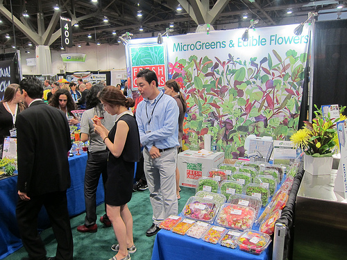 microgreens and flowers