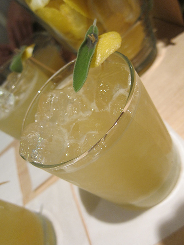 Shandy by Karen Grill