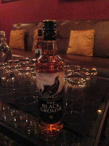 Black Grouse