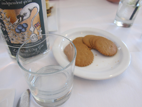 first known gin pairing- ginger and gin